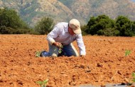 Ε.Α.Σ. : αγροτικές επιδοτήσεις  περιόδου 2015 - 2020