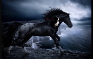 dark horse (music vid)