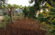 δδμανιας: καλλιεργώντας τη γη # 2 (2/4/16)
