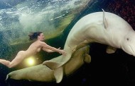 natalia, the crazy russian arctic ‘oceanographer’ who polar bear plunges with whales in the nude