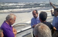δελτία τύπου ΠΔΕ, 16η σεπ 2016, («περπατώντας, μαθαίνω για το διαβήτη» - θεομηνιόπληκτες περιοχές ηλείας)