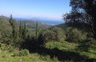 το θιάκι