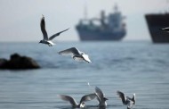 επιτέλους καλοκαίρι την τρίτη - ανεβαίνει η θερμοκρασία