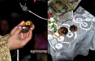 στο αγρίνιο προσκύνησαν κάστανο που φέρεται να είχε βράσει ο παΐσιος