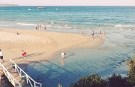 (always trust summertime)