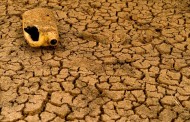 διαρροή εγγράφων: διατροφικός και ενεργειακός «αρμαγεδών» απειλεί τη μέση ανατολή