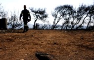 ​​​Μπίζνες στις στάχτες της τραγωδίας