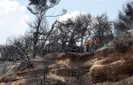 καταπατημένη δασική έκταση το οικόπεδο του θανάτου στο μάτι