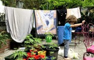 σ κούλογλου: μαριχουάνα και εγκληματικότητα: η ουρουγουάη δείχνει το δρόμο
