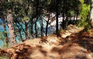 δδ μανιάς: τι έχουν να πουν οι υποψήφιοι δήμαρχοι για την πρόσβαση στην παραλία σκίνου