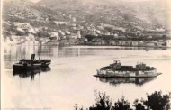 μενεξέδες και ζουμπούλια (vid)