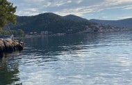 οι κουρούνες της ιθακής