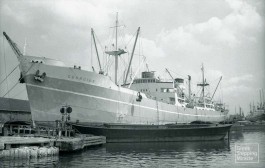 δδμανιάς; τα καλοκαίρια που δεν έφυγαν ποτέ