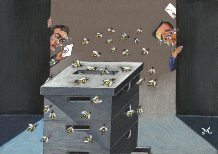 election