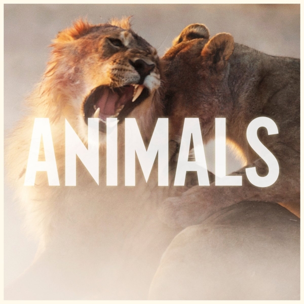 maroon 5 – animals (lyric music vid) and 3 more maroon 5 – animals (lyric music vid) and 3 more