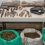 314348-1-zoniana2