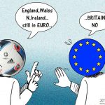 euro_in_euro_out__hassan_bleibel