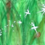 dandelion___emrah_arikan