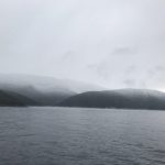 img_0335