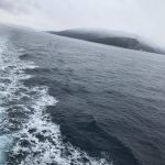 img_0342