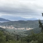 img_0355