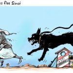 christians_of_egypt_flee_sinai___emad_hajjaj