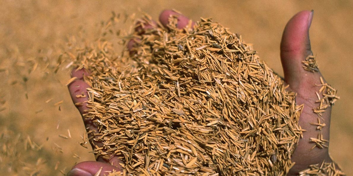 οι ισχυροί της ελληνικής οικονομίας