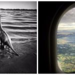 collage1