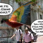 sp2707papagalosjjj