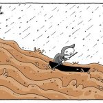 61anastasiou