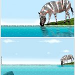 zebra__fadi__abou_hassan_faditoon