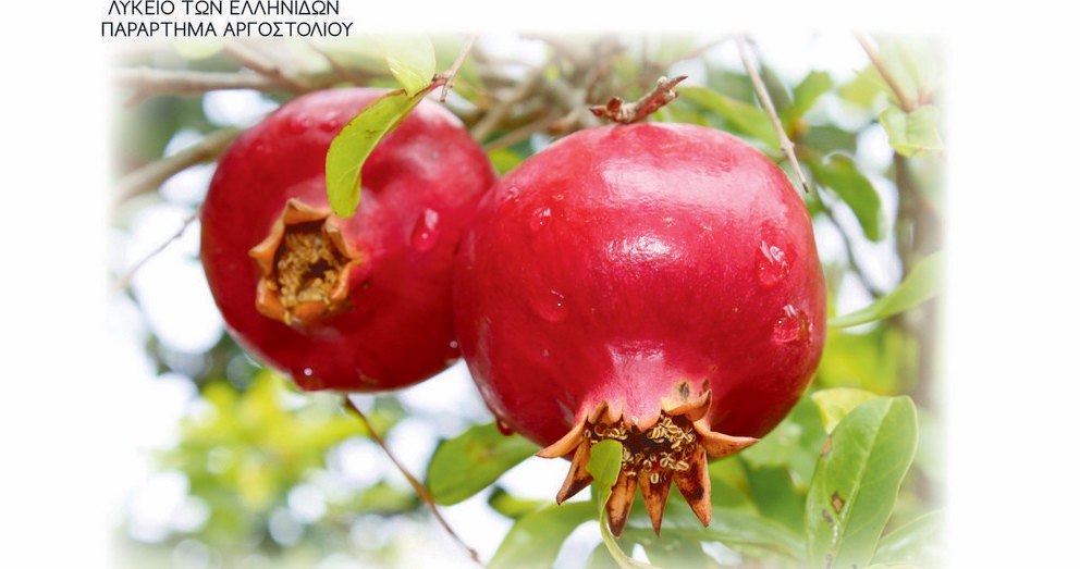 ευχές από το λύκειο ελληνίδων παρ αργοστολίου ευχές από το λύκειο ελληνίδων παρ αργοστολίου
