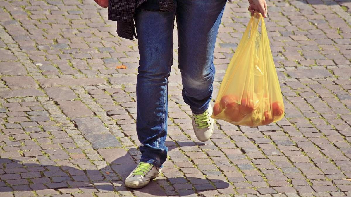 ας μιλήσουμε για πλαστικές σακούλες… ας μιλήσουμε για πλαστικές σακούλες…