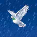 raindrops__rice_araujo