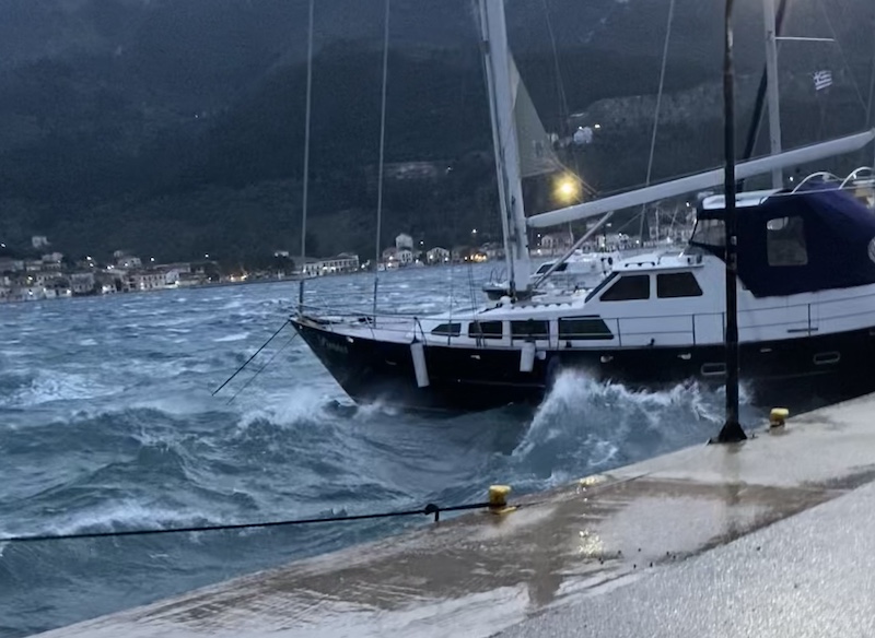 δδμανιάς: οι όστριες, οι αληθινές αγγελιαφόροι της άνοιξης δδμανιάς: οι όστριες, οι αληθινές αγγελιαφόροι της άνοιξης