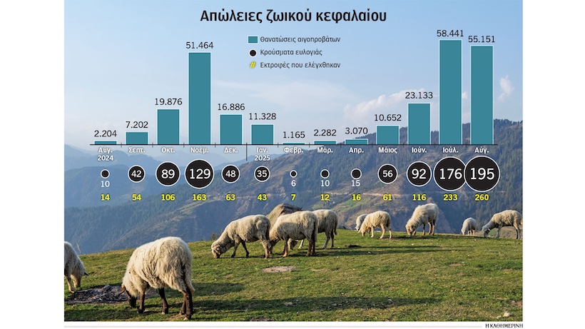 ευλογιά των αιγοπροβάτων ευλογιά των αιγοπροβάτων