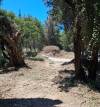 εργασίες καθαρισμού και πυροπροστασίας σε όλο το νησί